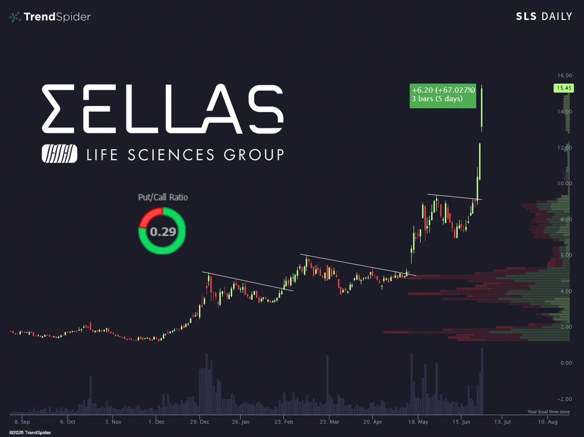 Sellas Life Sciences ($SLS) พุ่ง 67% ใน 3 วัน ปริมาณซื้อขายสูงสุด 5 ปี จ่อ Short Squeeze