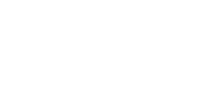 Outlier Securities